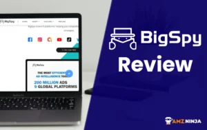 Bigspy Review