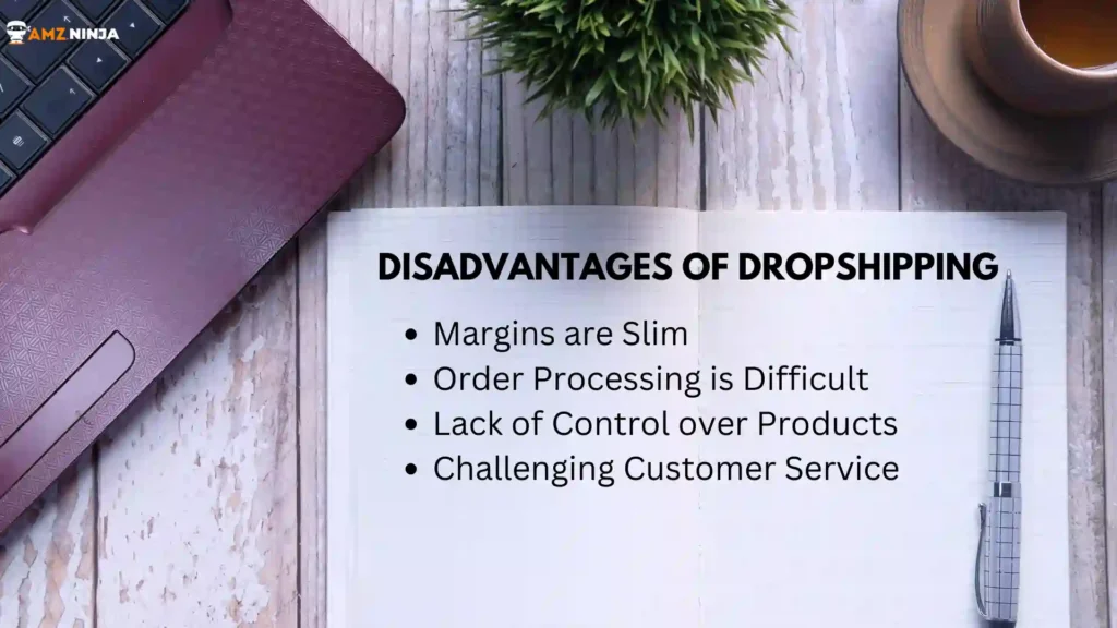 Disadvantages of Dropshipping