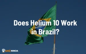 Does Helium 10 Work in Brazil