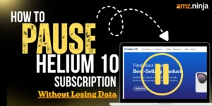 How to Pause Helium 10 Subscription