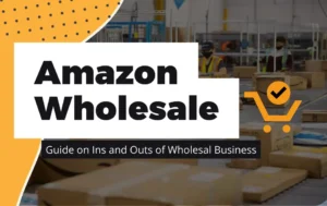 Amazon wholesale