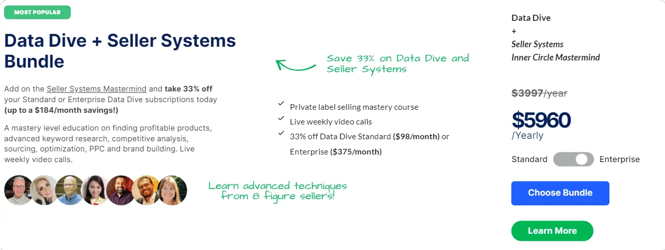 Data Dive Enterprise Plan