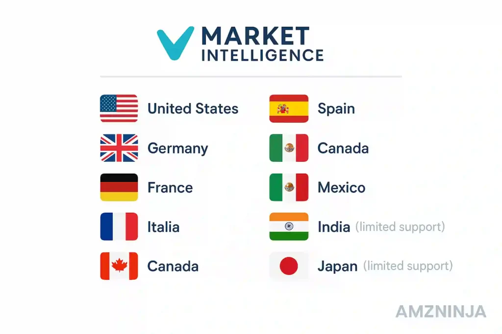 Viral Launch - International Market Research Made Easy