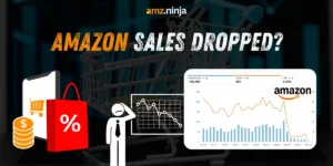 Amazon Sales Dropped