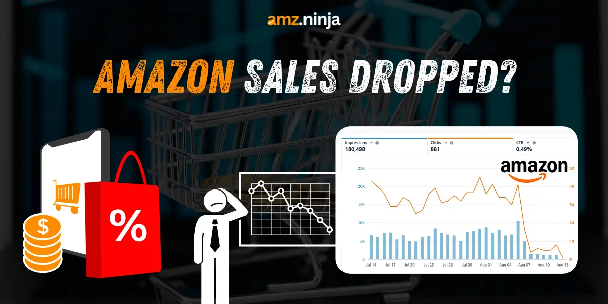 Amazon Sales Dropped