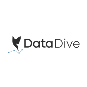 DataDive Logo