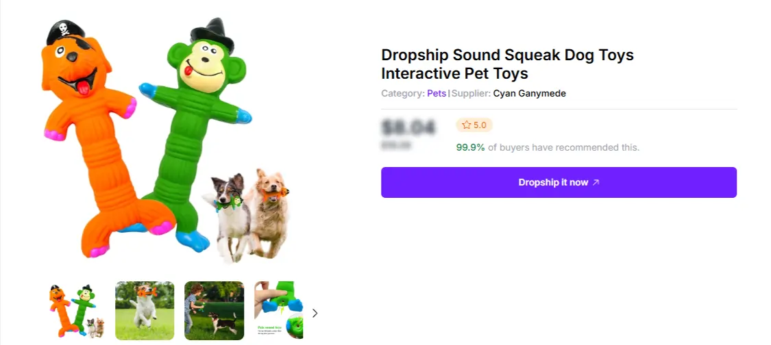 Interactive Pet Toys- Spocket dropshipping