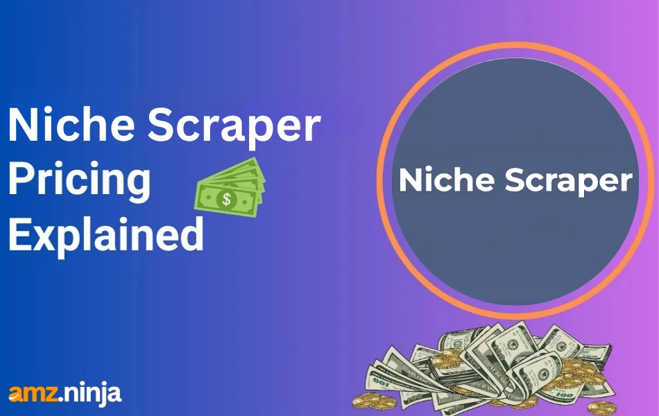 Niche Scraper Pricing Explained