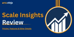 Scale Insights Review