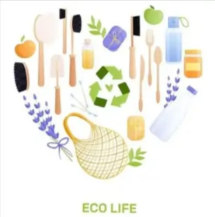 Sustainable eco-friendly products category Growth on Amazon