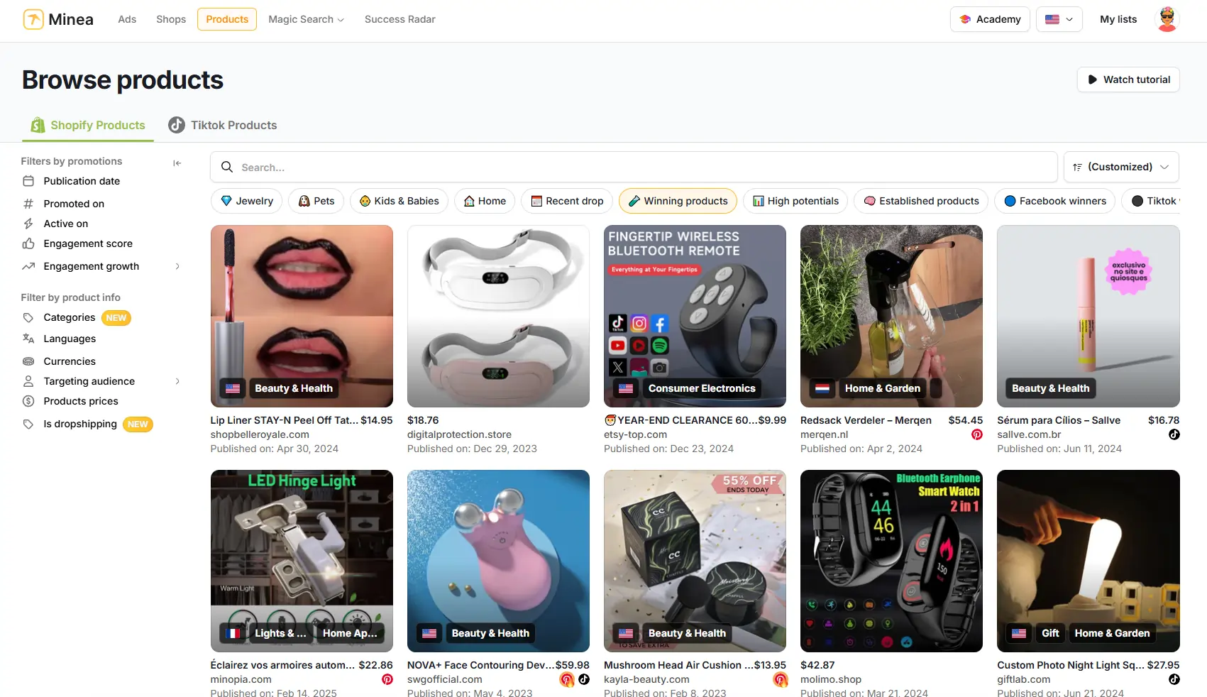 Winning Products Search using Minea