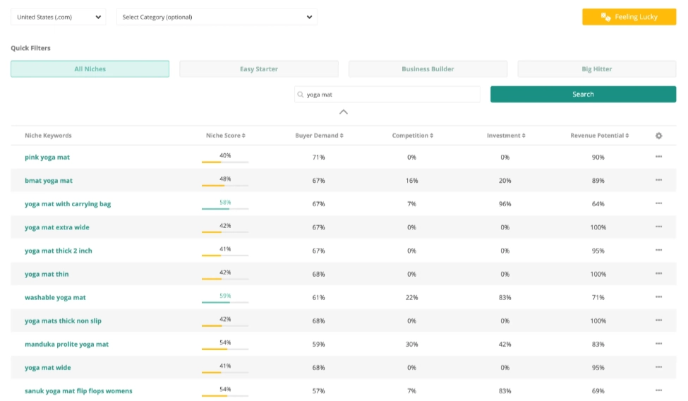 ZonGuru Niche Score Analysis