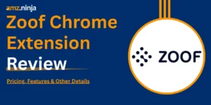 Zoof Chrome Extension Review